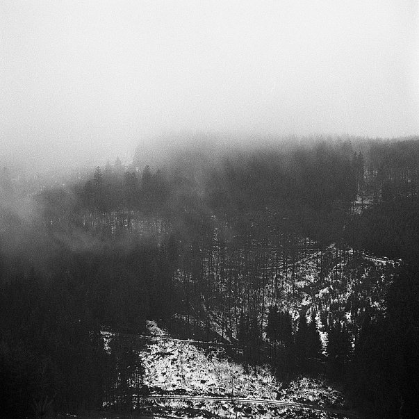 schwarzes holz